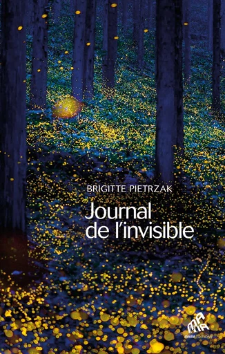 Journal de l'invisible - Brigitte Pietrzak - Mama Editions