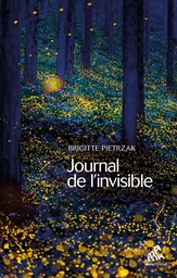 Journal de l'invisible